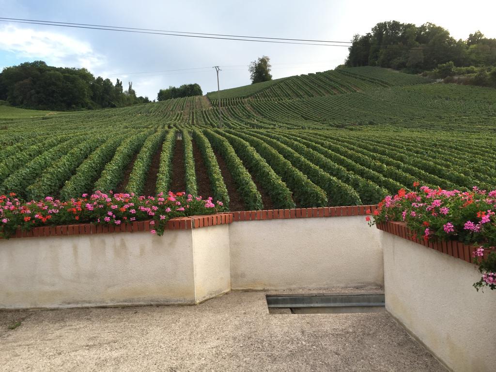 Villa La Loge Du Vigneron Vauciennes  Exterior foto
