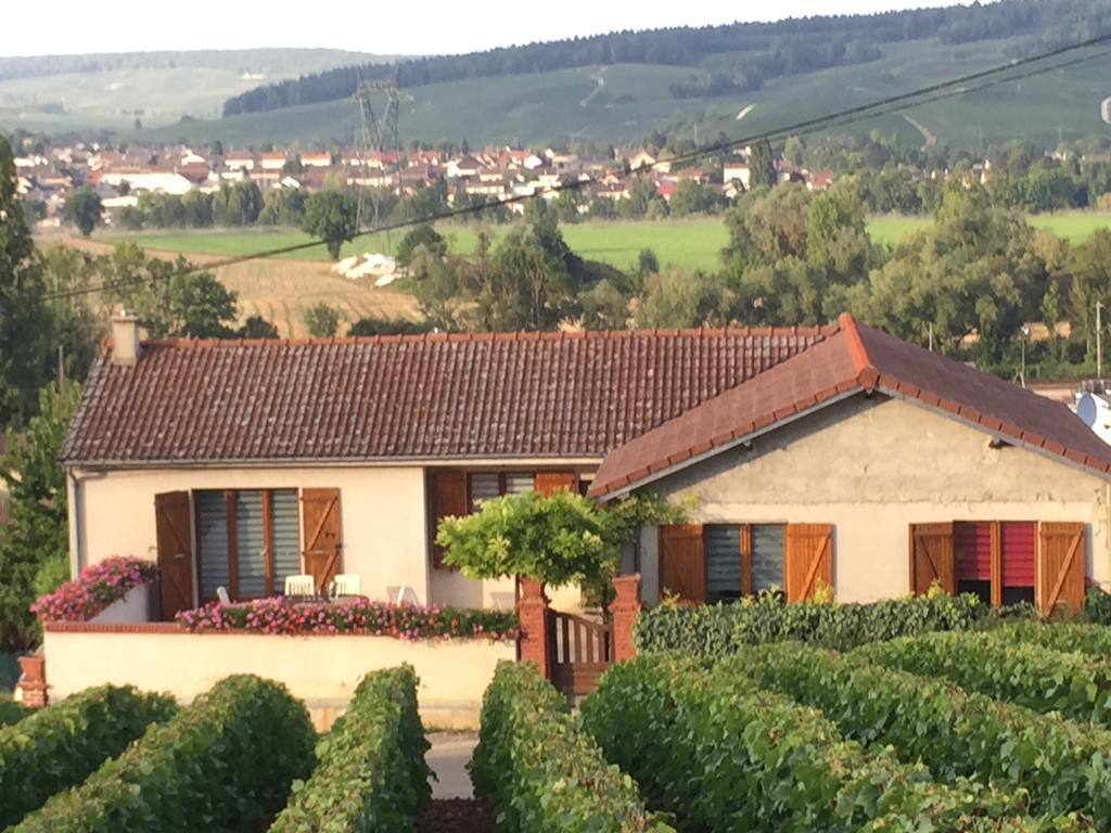 Villa La Loge Du Vigneron Vauciennes  Exterior foto